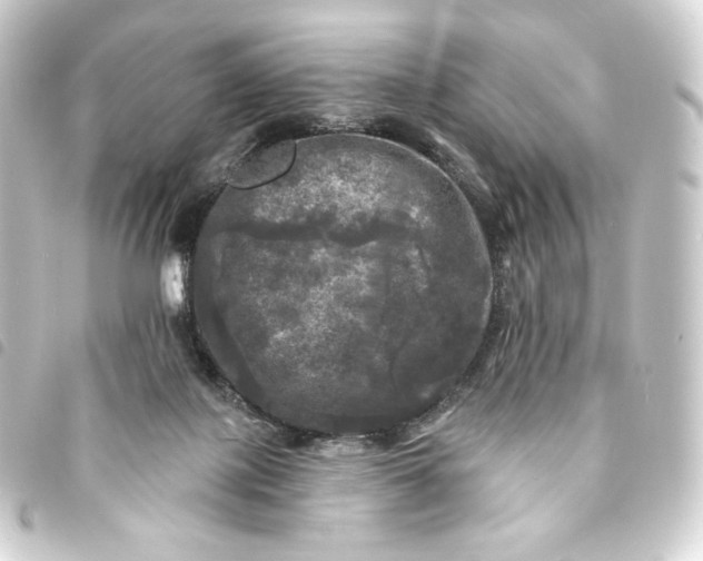 X0000093740075200710301113