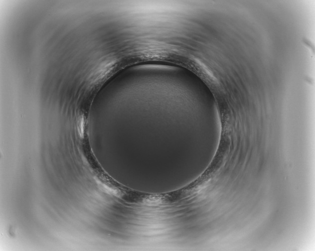 X0000093740076200710301113