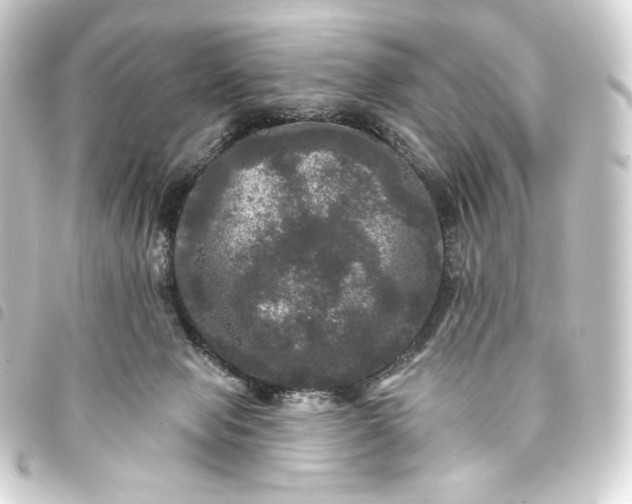 X0000093740077200710301113