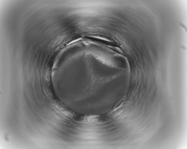 X0000093740078200710301113