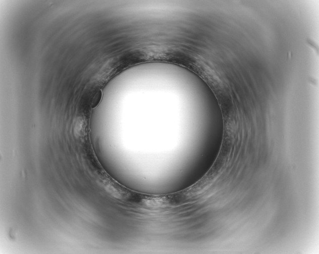 X0000093740079200710301113