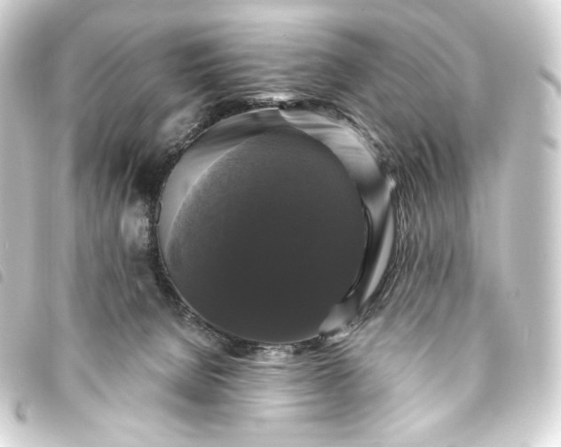 X0000093740080200710301113