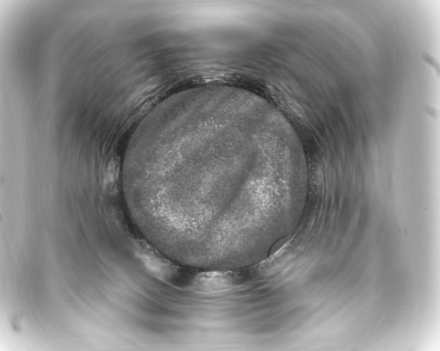 X0000093740082200710301113