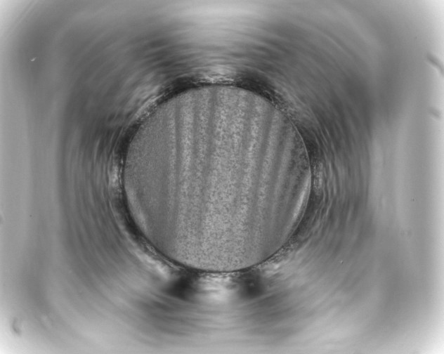 X0000093740084200710301113