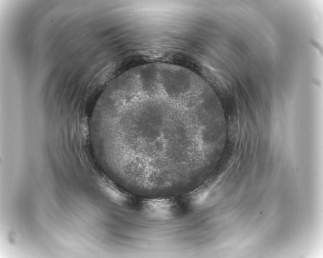 X0000093740085200710301113