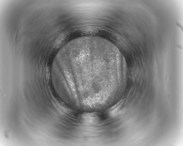 X0000093740086200710301113