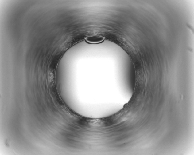 X0000093740087200710301113