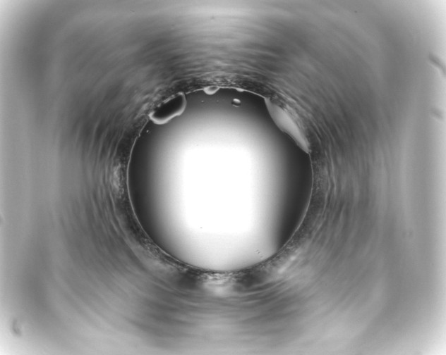 X0000093740088200710301113