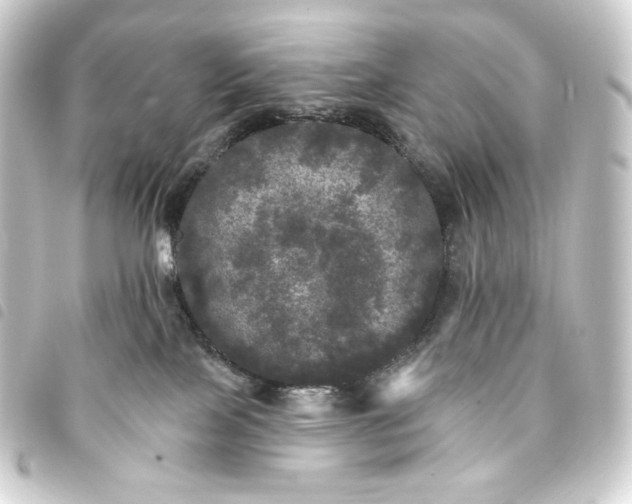 X0000093740089200710301113