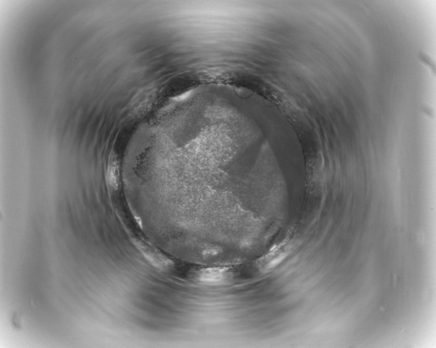 X0000093740090200710301113