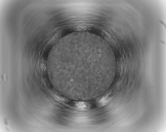 X0000093740091200710301113