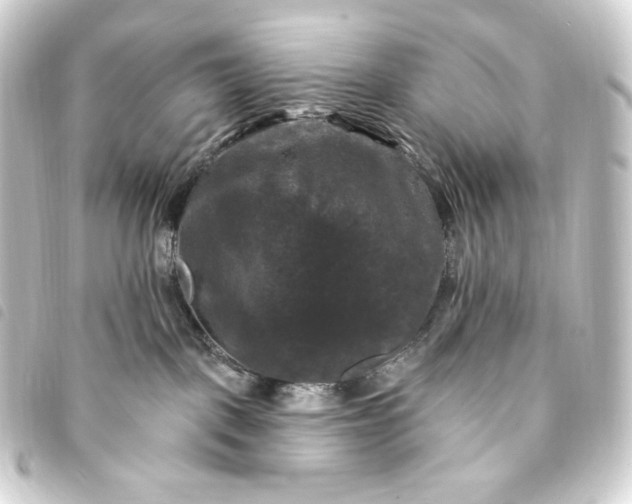 X0000093740093200710301113