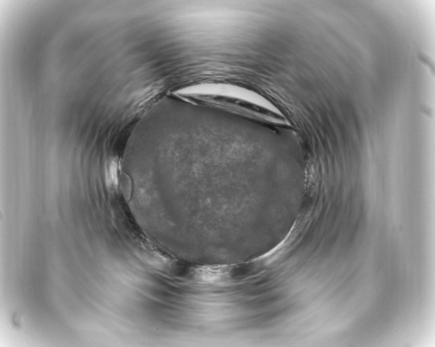 X0000093740094200710301113