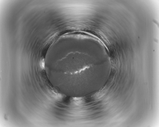 X0000093740095200710301113