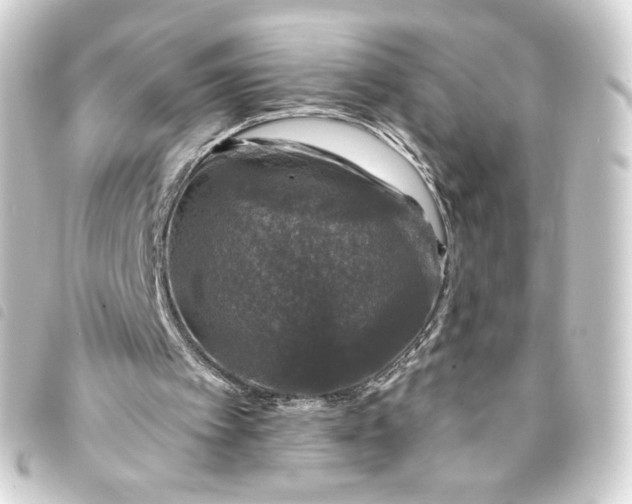 X0000093740097200710301113