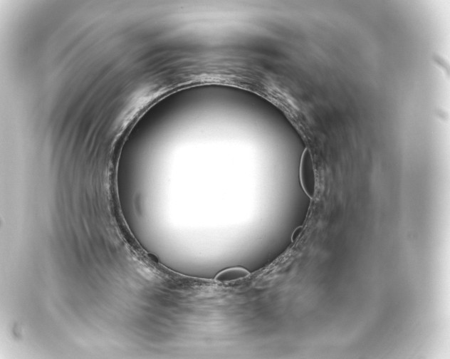 X0000093740098200710301113