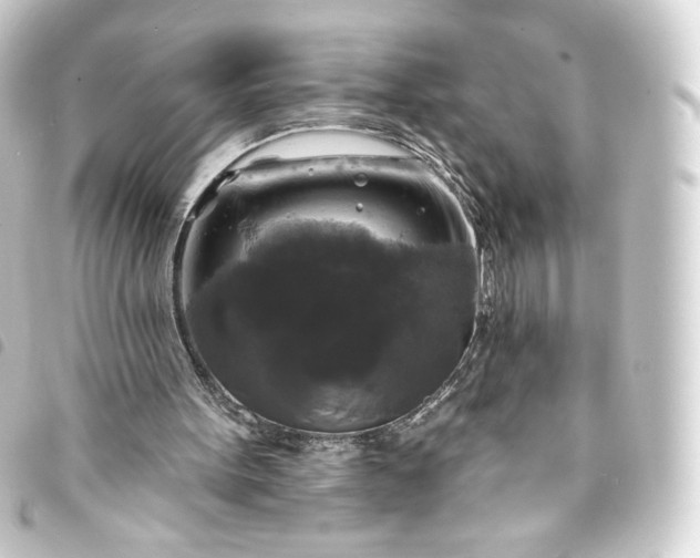 X0000093740099200710301113