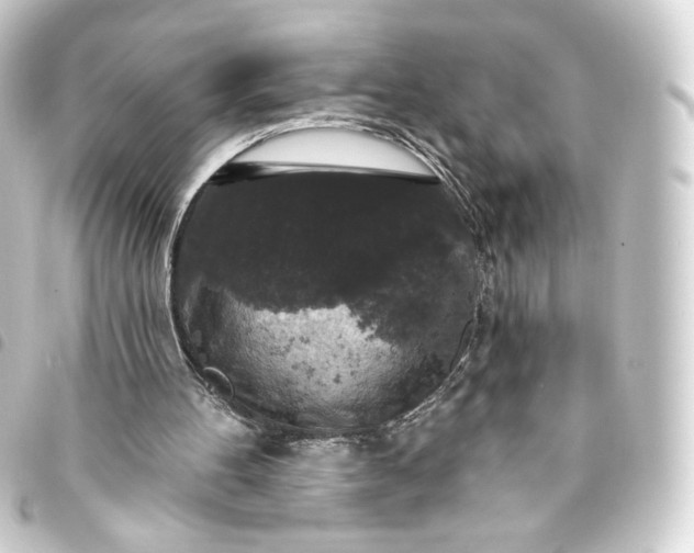 X0000093740100200710301113