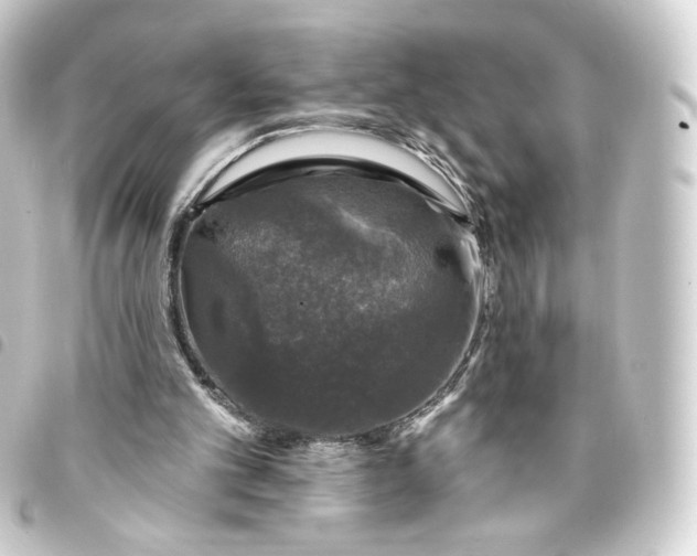 X0000093740101200710301113