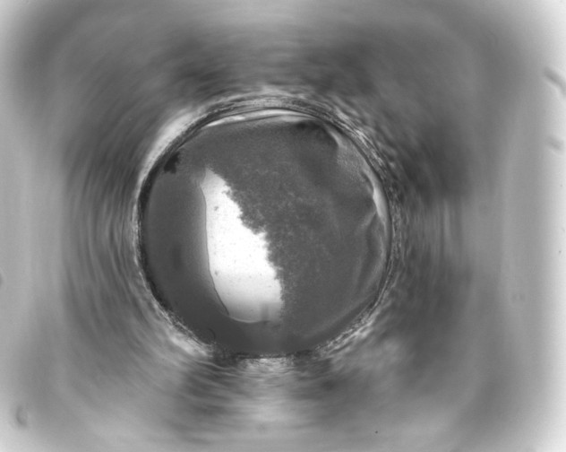 X0000093740102200710301113