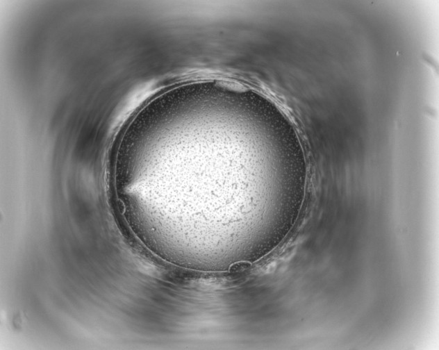 X0000093740103200710301113