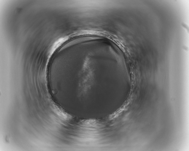 X0000093740104200710301113