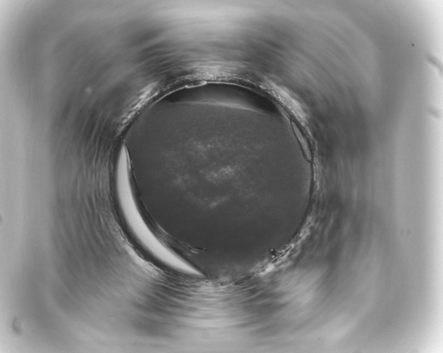 X0000093740105200710301113