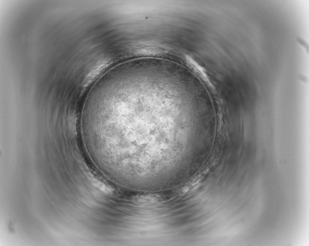 X0000093740106200710301113