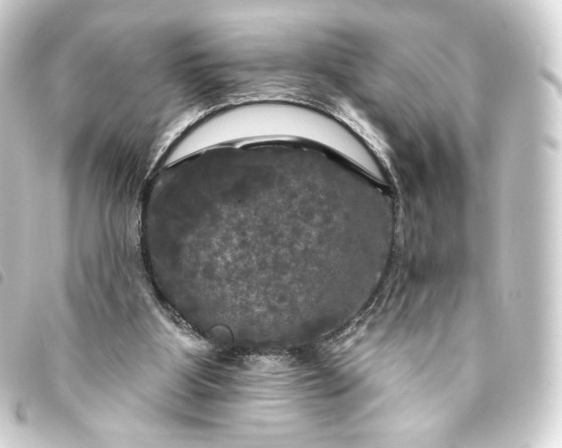 X0000093740107200710301113