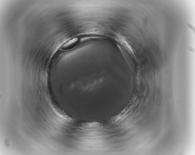 X0000093740108200710301113