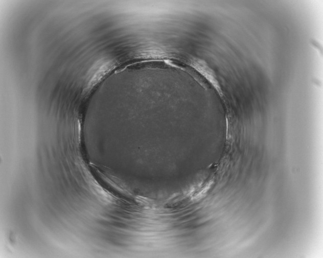 X0000093740109200710301113