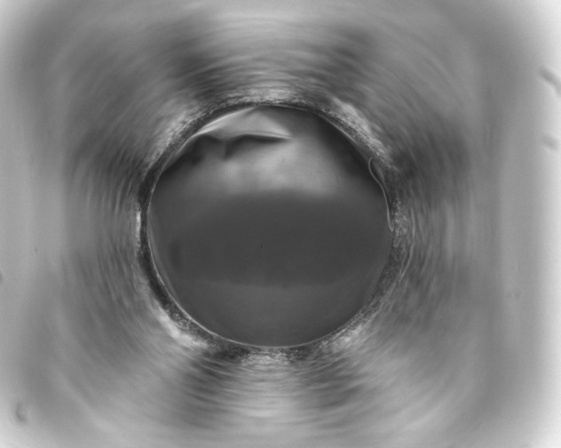 X0000093740110200710301113