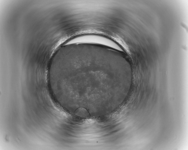 X0000093740111200710301113