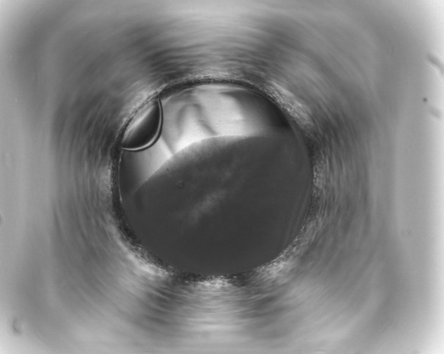 X0000093740112200710301113