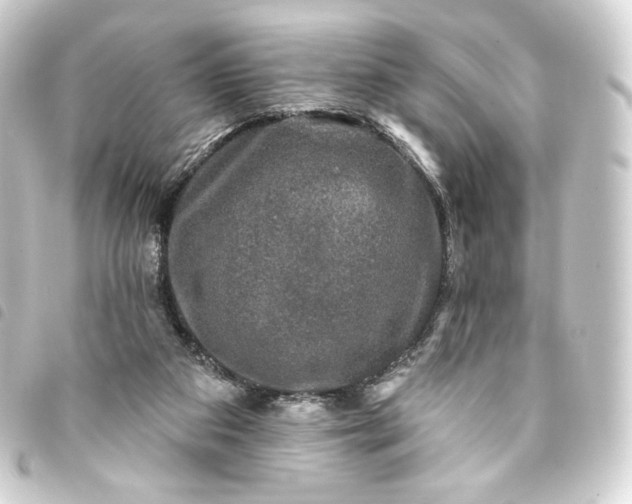 X0000093740113200710301113