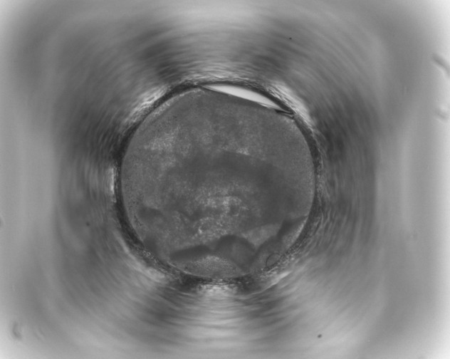 X0000093740115200710301113