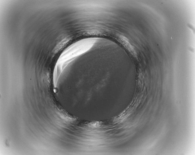 X0000093740116200710301112