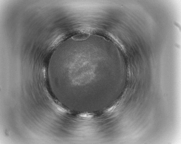 X0000093740117200710301112