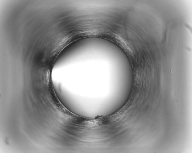 X0000093740118200710301112