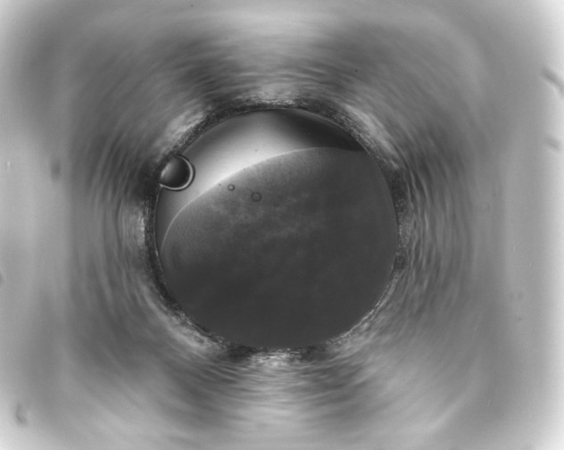 X0000093740120200710301112