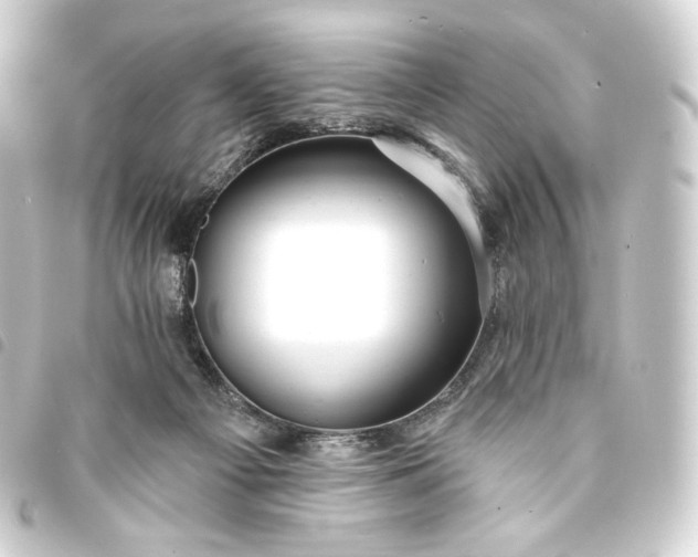 X0000093740121200710301112