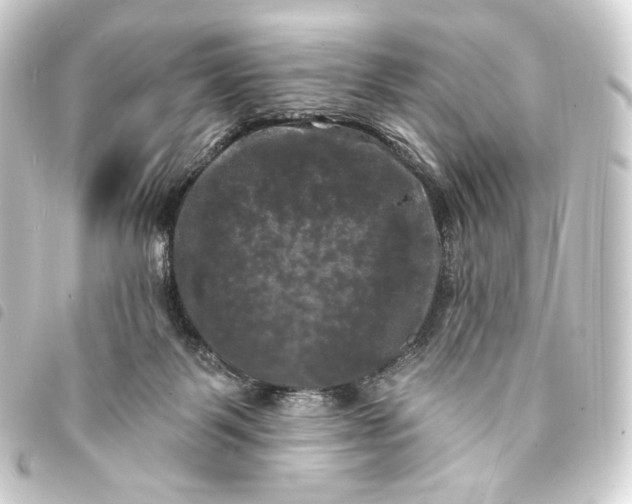 X0000093740123200710301112