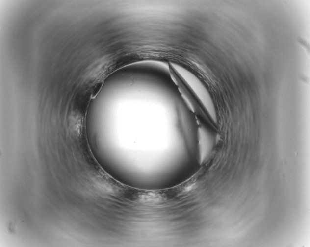 X0000093740125200710301112