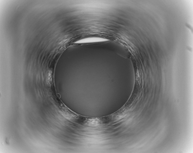 X0000093740127200710301112