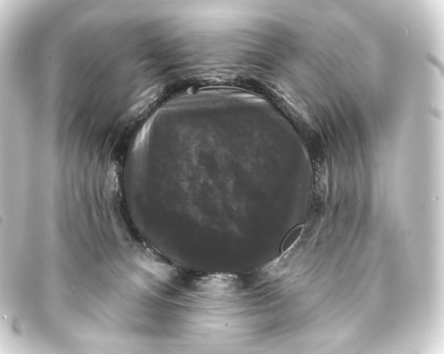 X0000093740128200710301112