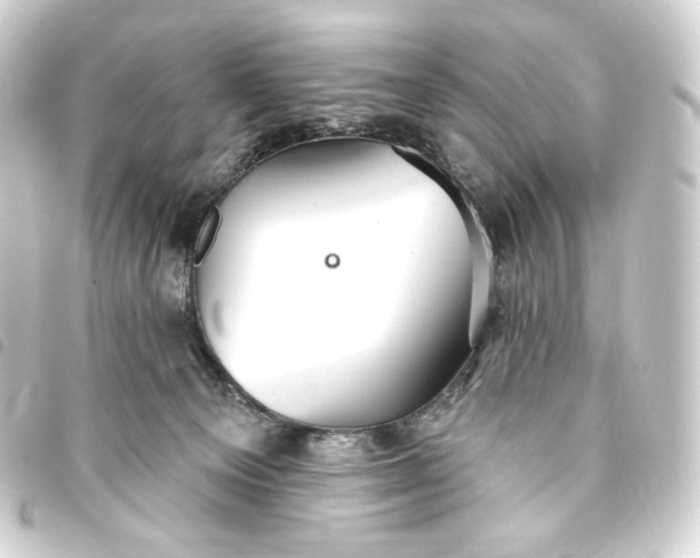 X0000093740129200710301112