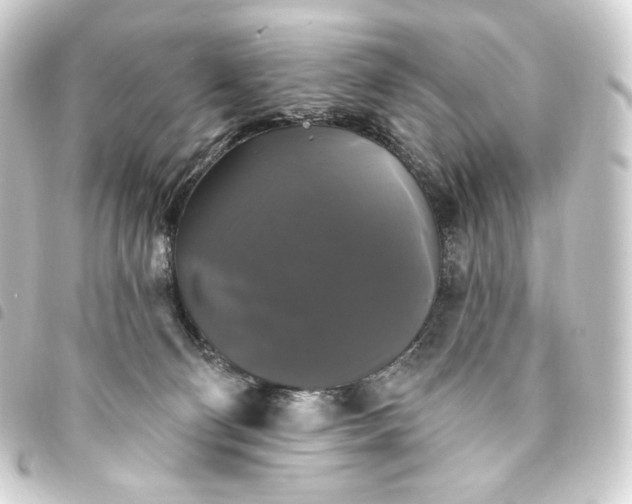 X0000093740130200710301112