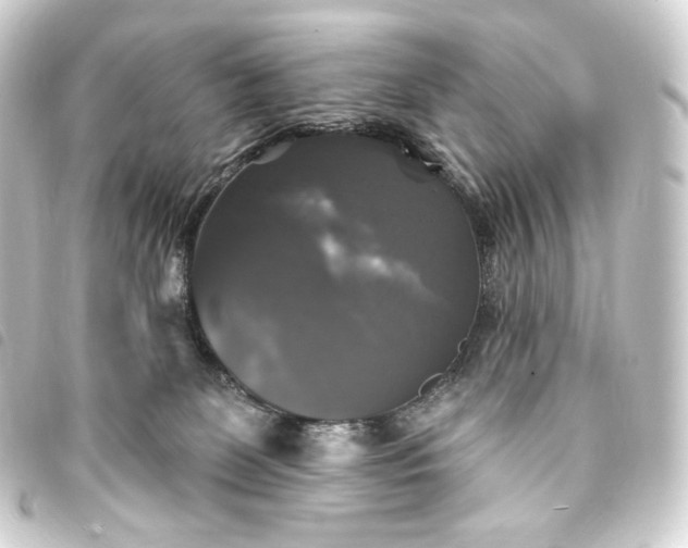 X0000093740131200710301112