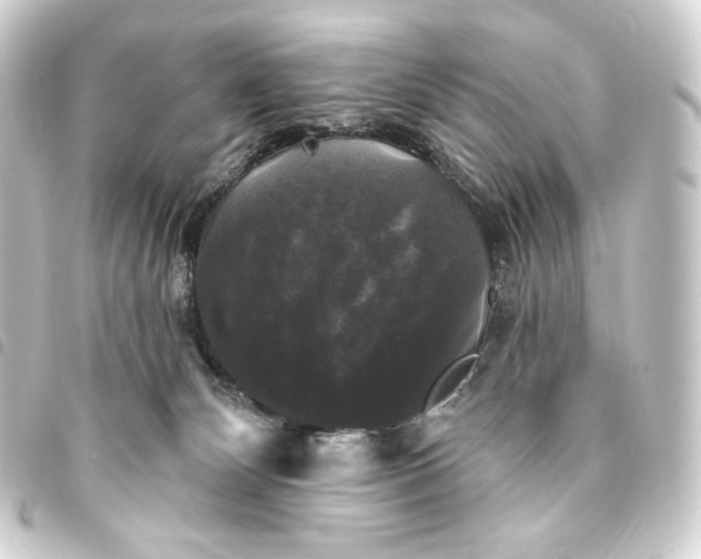 X0000093740132200710301112