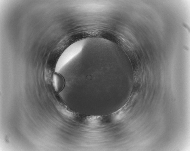 X0000093740136200710301112